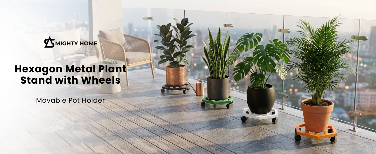 More Vision about the Product