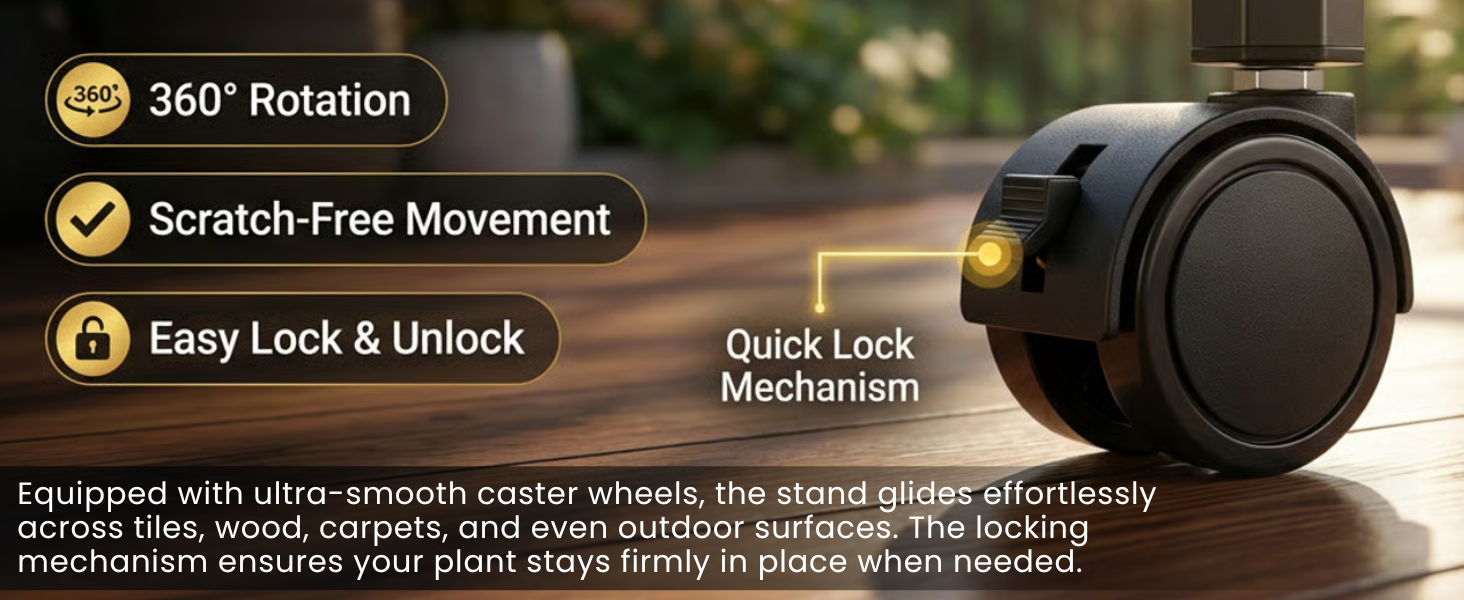 More Vision about the Product