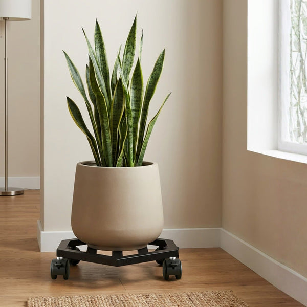 Hexagon Plant Stands