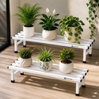 White-1