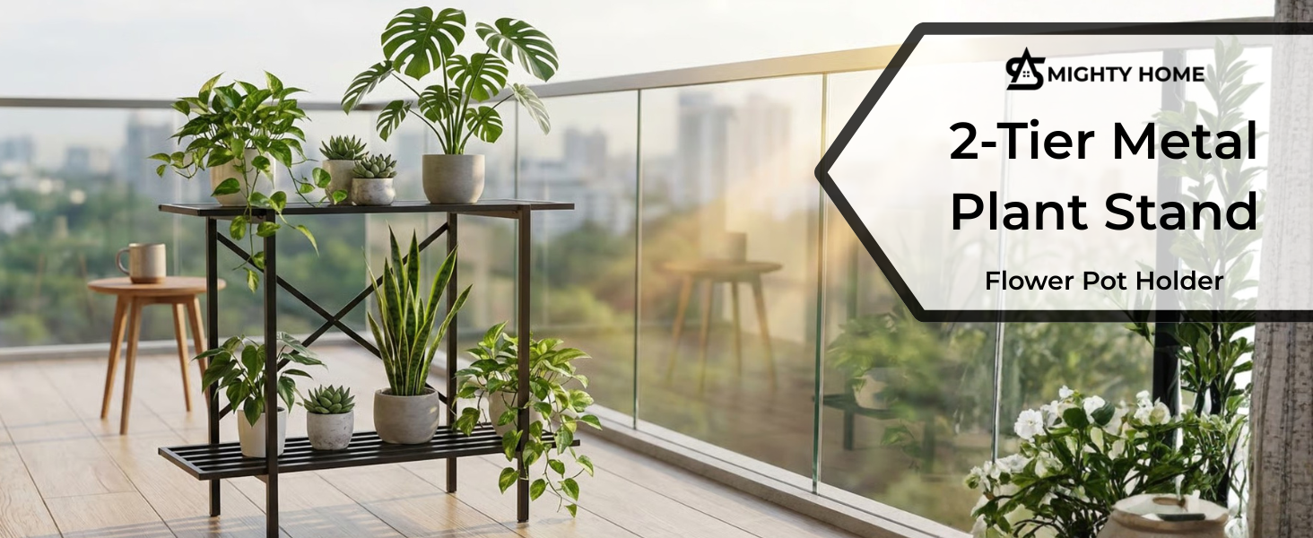 More Vision about the Product