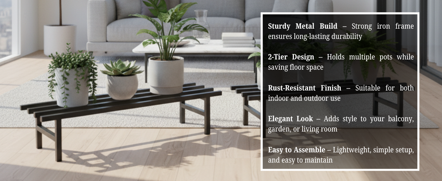 More Vision about the Product