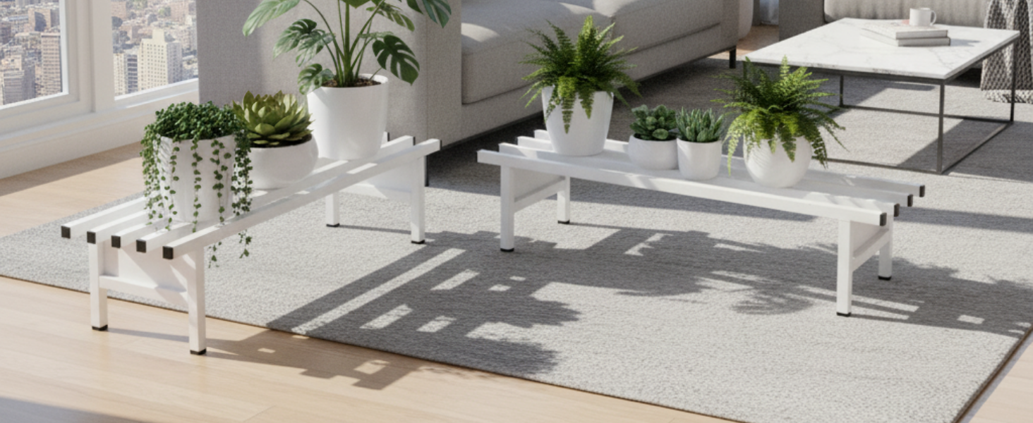 More Vision about the Product