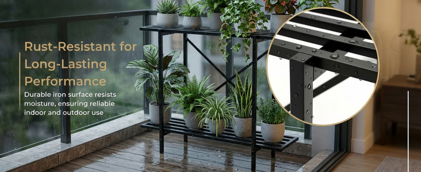 More Vision about the Product