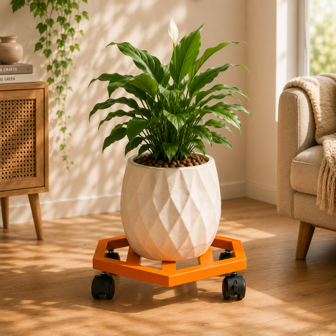 Orange-1 
