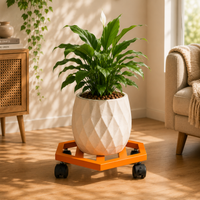 Orange-1 